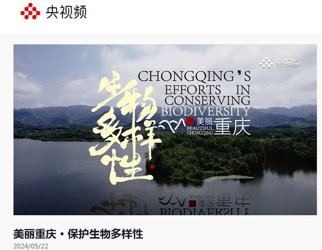 传播 公布！2024年度美丽重庆全媒体优秀传播案例